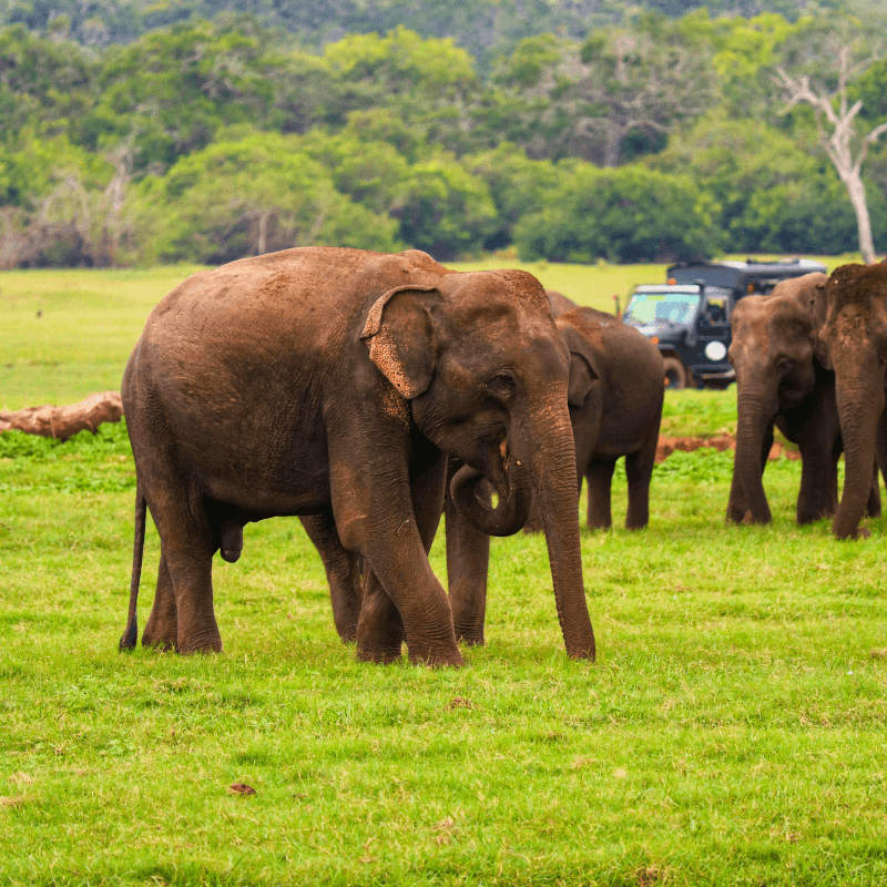 Your Journey Begins Here