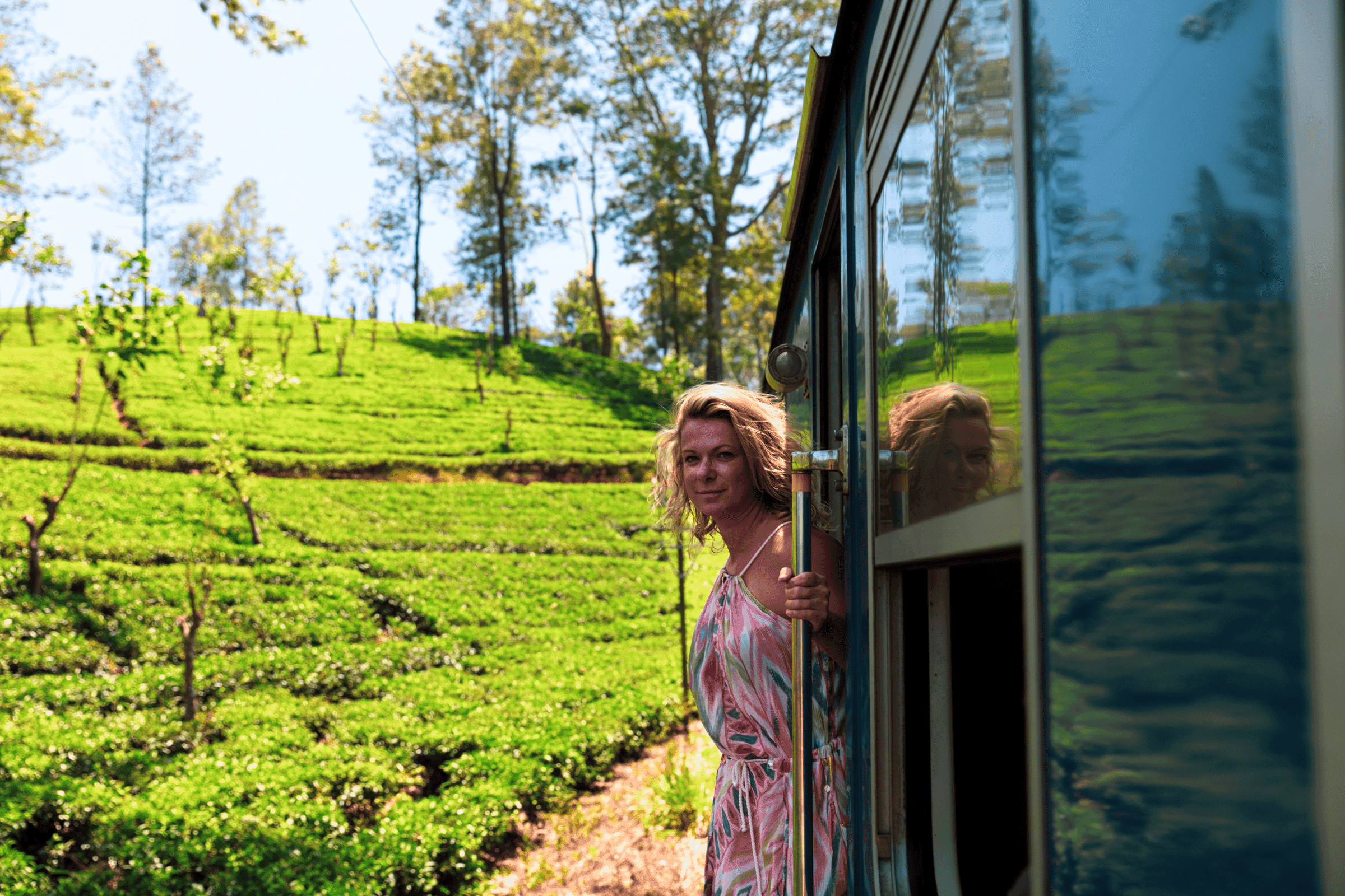 Tea Trails & Scenic Train Journey